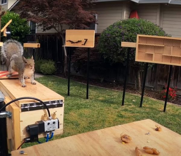 Il fabrique un parcours d'obstacles pour les écureuils dans son jardin