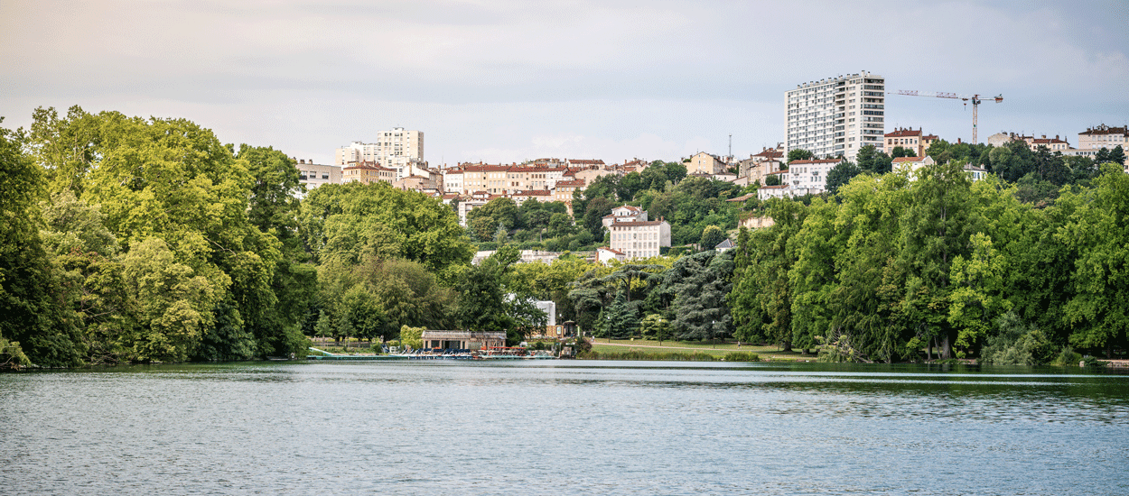 Suite au confinement, Lyon laisse ses pelouses à l'état sauvage et réduit la tonte des parcs