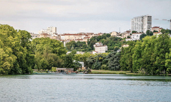 Suite au confinement, Lyon laisse ses pelouses à l'état sauvage et réduit la tonte des parcs