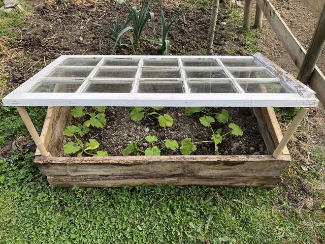 Tuto potager : Fabriquez une serre à semis avec une fenêtre recup'