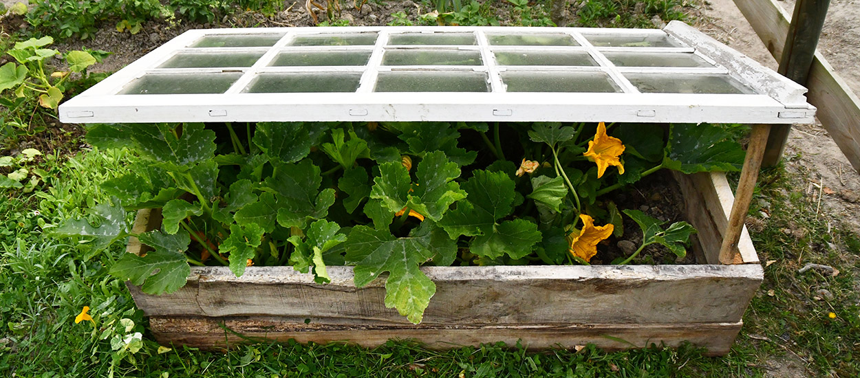 10 idées pour fabriquer sa mini serre de jardin