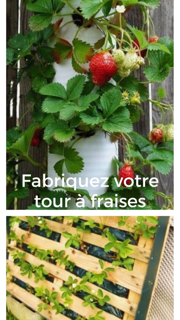 Comment fabriquer une tour à fraisiers ? 9 tutoriels pour faire pousser — free download