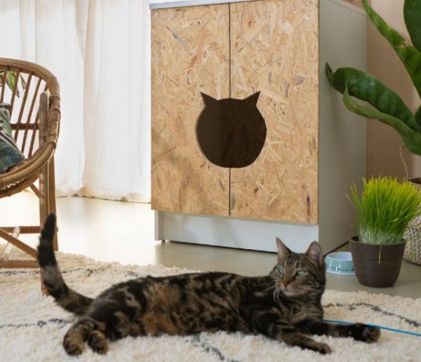 Comment Camoufler La Litiere Du Chat Meuble Diy Pour Chacher La Litiere