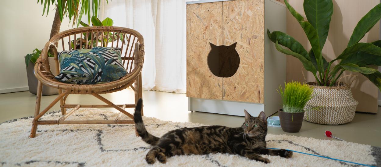 Comment Camoufler La Litiere Du Chat Meuble Diy Pour Chacher La Litiere