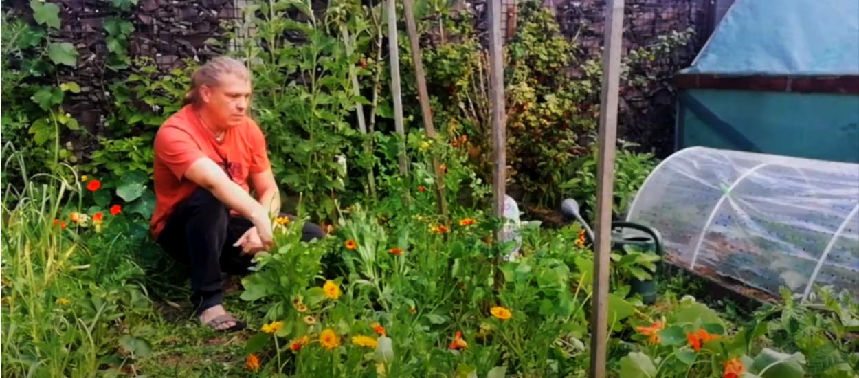 Denis a quitté la fonction publique pour vivre en autonomie dans la forêt