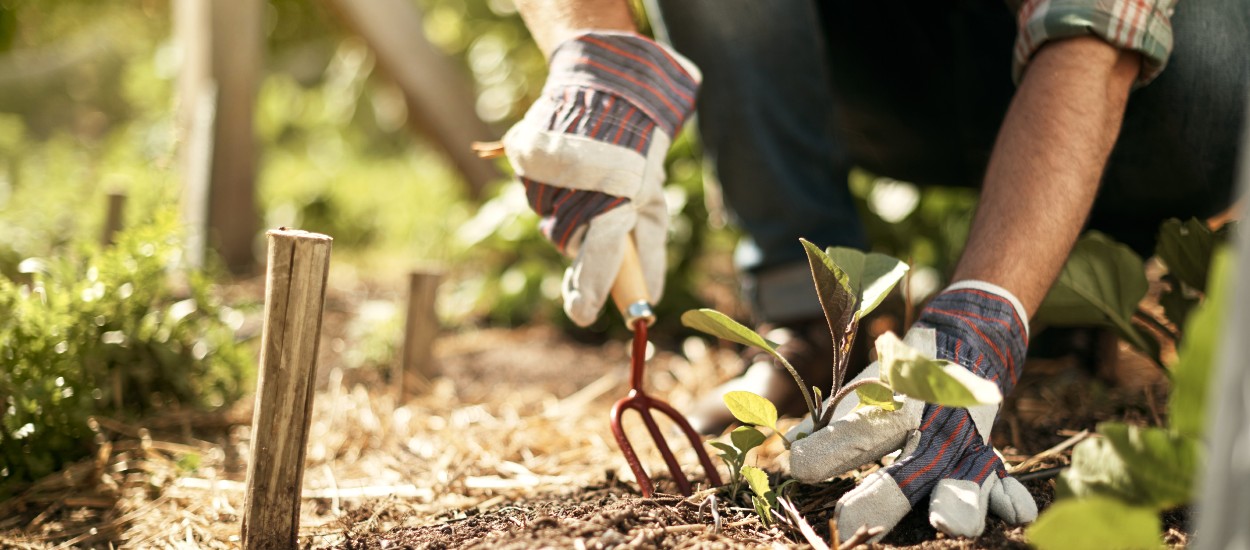 11 façons de faire un engrais naturel pour votre jardin