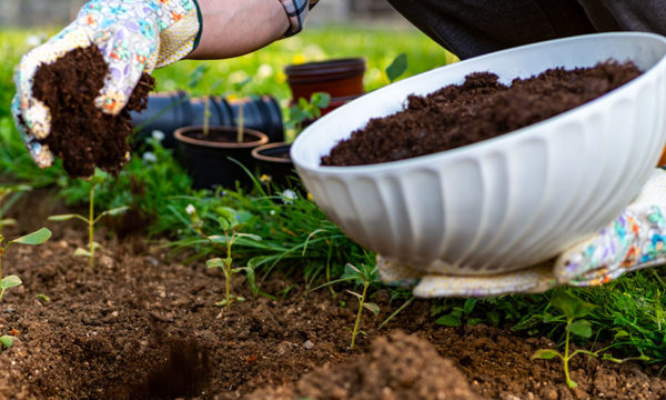 11 façons de faire un engrais naturel pour votre jardin