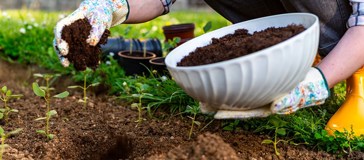11 façons de faire un engrais naturel pour votre jardin