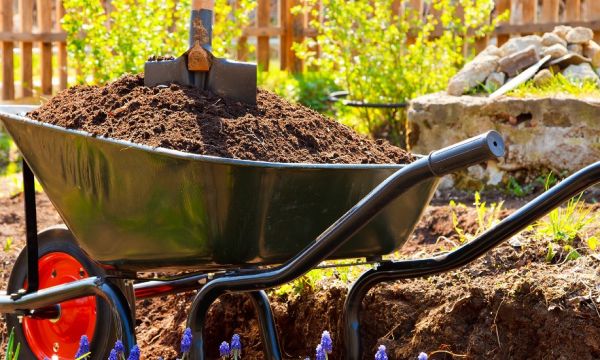 Transformer le jardin quand on est locataires : quels sont vos droits ?