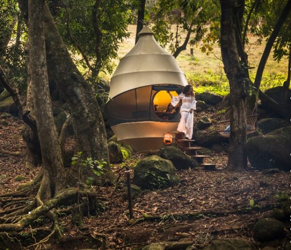 Ils ont imaginé la cabane idéale pour se ressourcer après le confinement