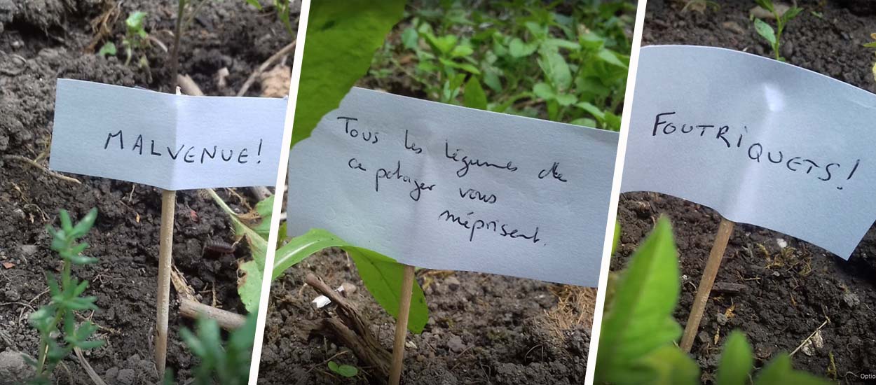 Ce jardinier amateur a testé une nouvelle technique (pleine d'humour) pour éloigner les escargots