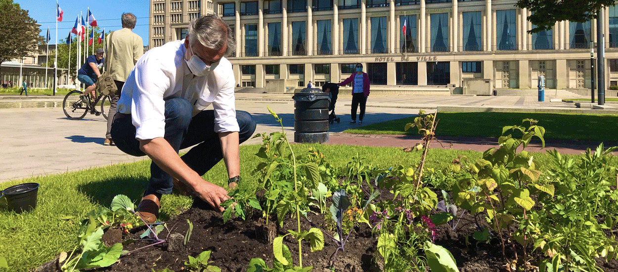 Au Havre, grâce au confinement, un potager urbain ouvre ses portes au pied de la mairie