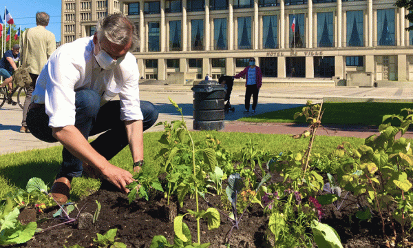 Au Havre, grâce au confinement, un potager urbain ouvre ses portes au pied de la mairie