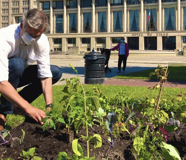 Au Havre, grâce au confinement, un potager urbain ouvre ses portes au pied de la mairie