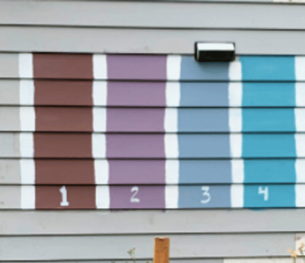 Cette famille a lancé un sondage en ligne pour choisir la couleur de sa maison