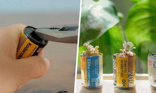 Tuto rétro : transformez de vieilles pellicules photos en pots de fleurs déco !