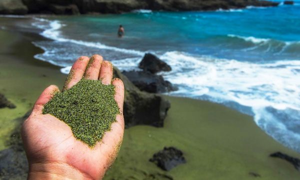 Une ONG va faire des plages de sable vert pour capturer la pollution aux Caraïbes