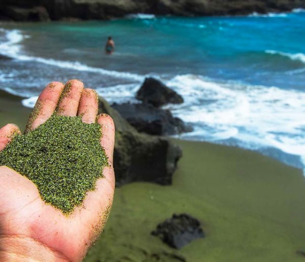 Une ONG va faire des plages de sable vert pour capturer la pollution aux Caraïbes