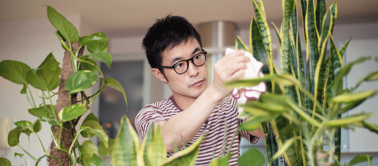 Apprenez à soigner vos plantes malades grâce à cette formation