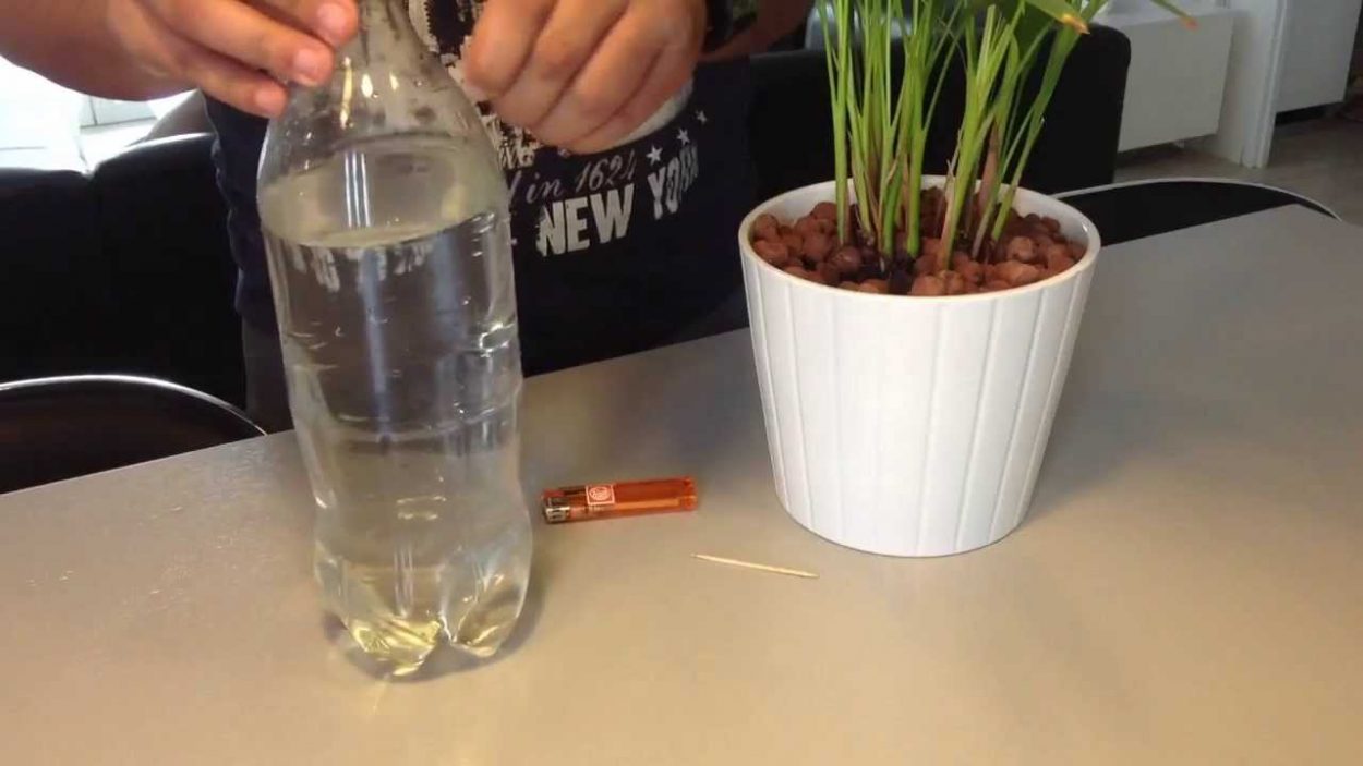 Comment fabriquer un système de goutte-à-goutte pour arroser vos plantes pendant les vacances