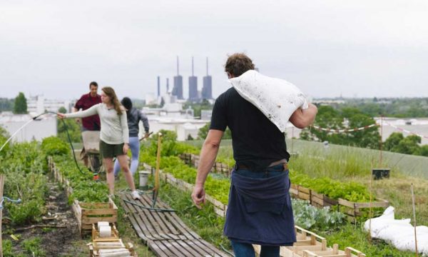 À quoi servent vraiment les fermes urbaines ? La réponse en BD