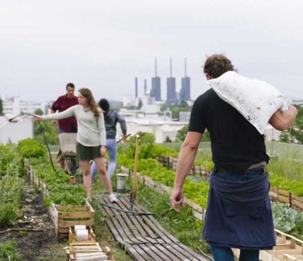 À quoi servent vraiment les fermes urbaines ? La réponse en BD