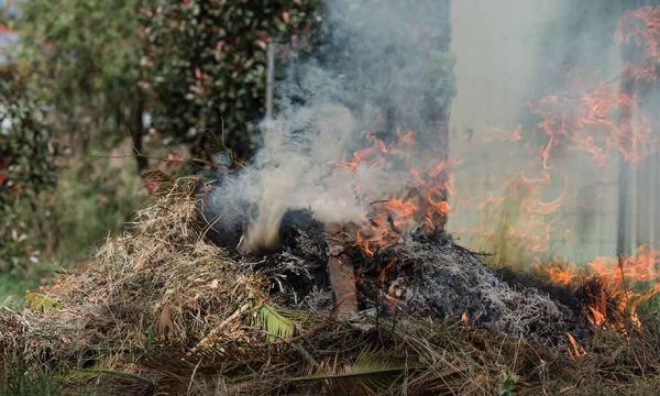 Quelles sont les alternatives écolo pour éviter de brûler ses déchets verts ?
