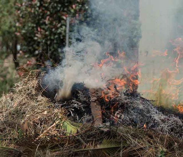 Quelles sont les alternatives écolo pour éviter de brûler ses déchets verts ?