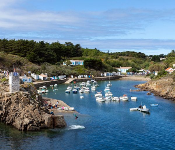 À l'île d'Yeu, 23 maisons partagent l'électricité collectivement grâce à l'énergie solaire