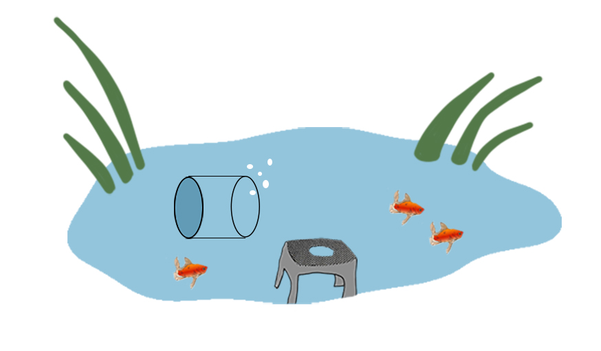 Fishtower part 1, comment faire un aquarium inversé ? 