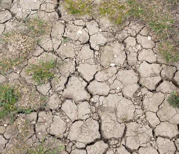 Économies d'eau