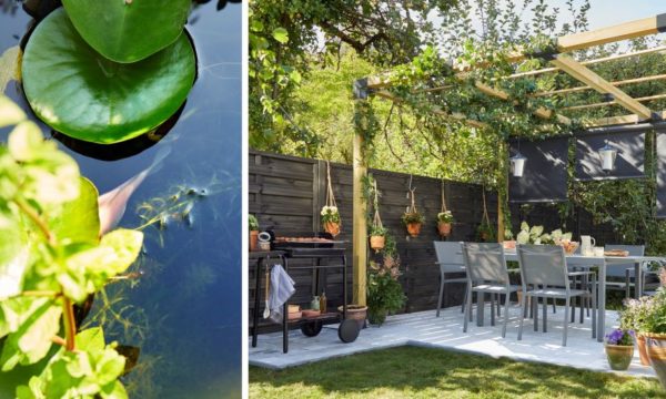 7 conseils pour créer un îlot de fraicheur dans son jardin et lutter contre la canicule