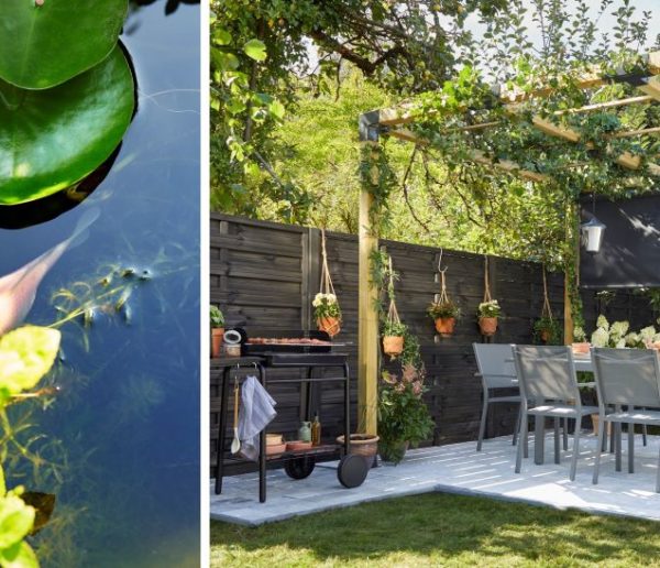 7 conseils pour créer un îlot de fraicheur dans son jardin et lutter contre la canicule