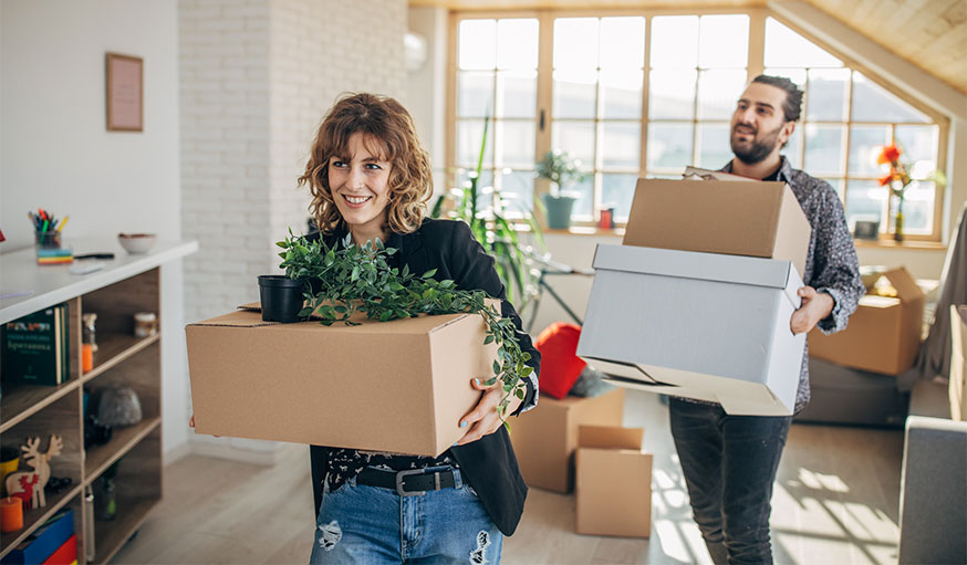 Cartons de déménagement livres, et verres - 36L - Pack and Move