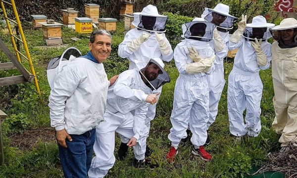 Cette association écolo forme les réfugiés au métier d'apiculteur