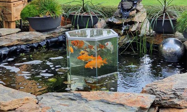 Tuto : Fabriquez une tour à poissons pour embellir votre bassin