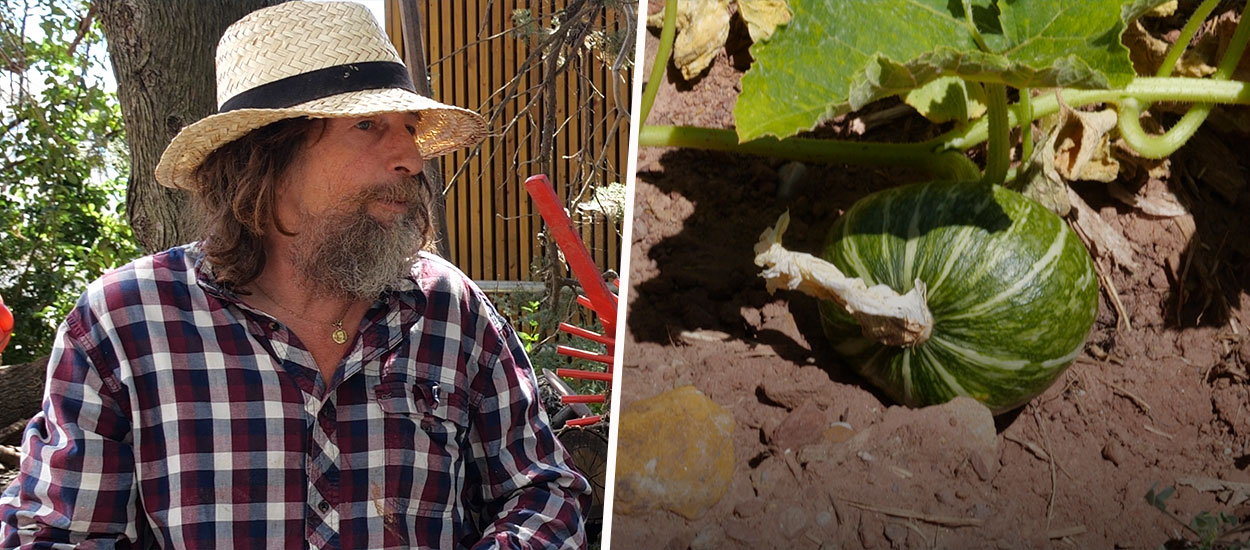 Pascal Poot fait pousser des tomates sans eau malgré la sécheresse grâce aux semences paysannes