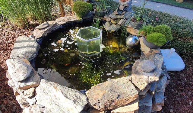 Comment fabriquer une tour à poissons pas cher