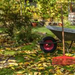 Un jardin en automne avec des feuilles mortes et une brouette