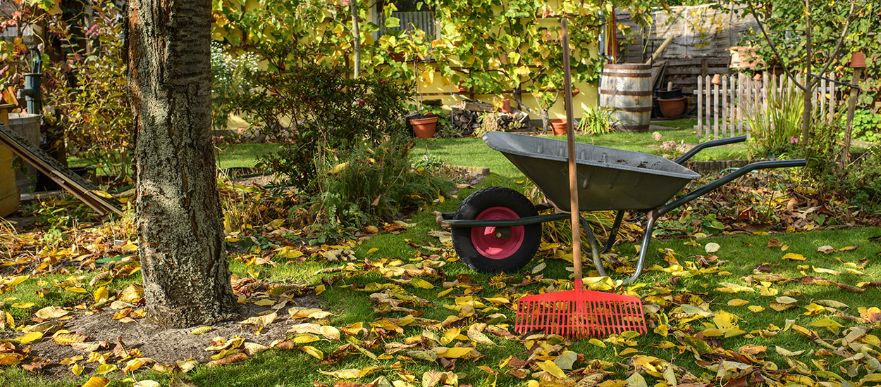 Pourquoi planter en automne est-il plus écolo et plus économique ?