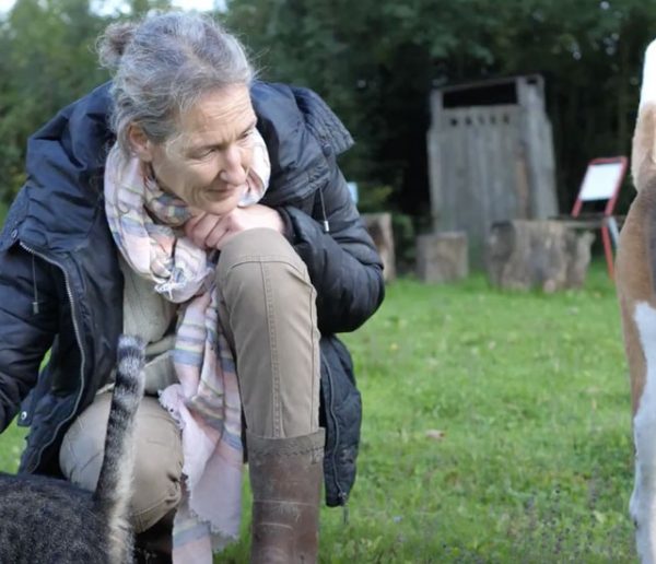 Geneviève vit seule dans un château entourée d'une quarantaine d'animaux et a besoin d'aide