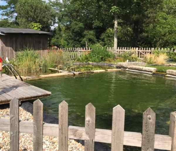 Découvrez comment ils ont construit eux-mêmes cette magnifique piscine naturelle dans leur jardin