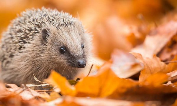 Participez à l'enquête 