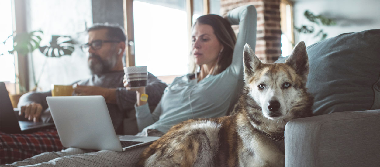 Les 5 erreurs fatales pour votre dos en télétravail