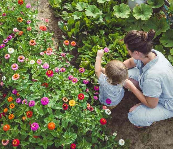 Envie de partir vivre à la campagne, mais la réalité est-elle à la hauteur du rêve ?