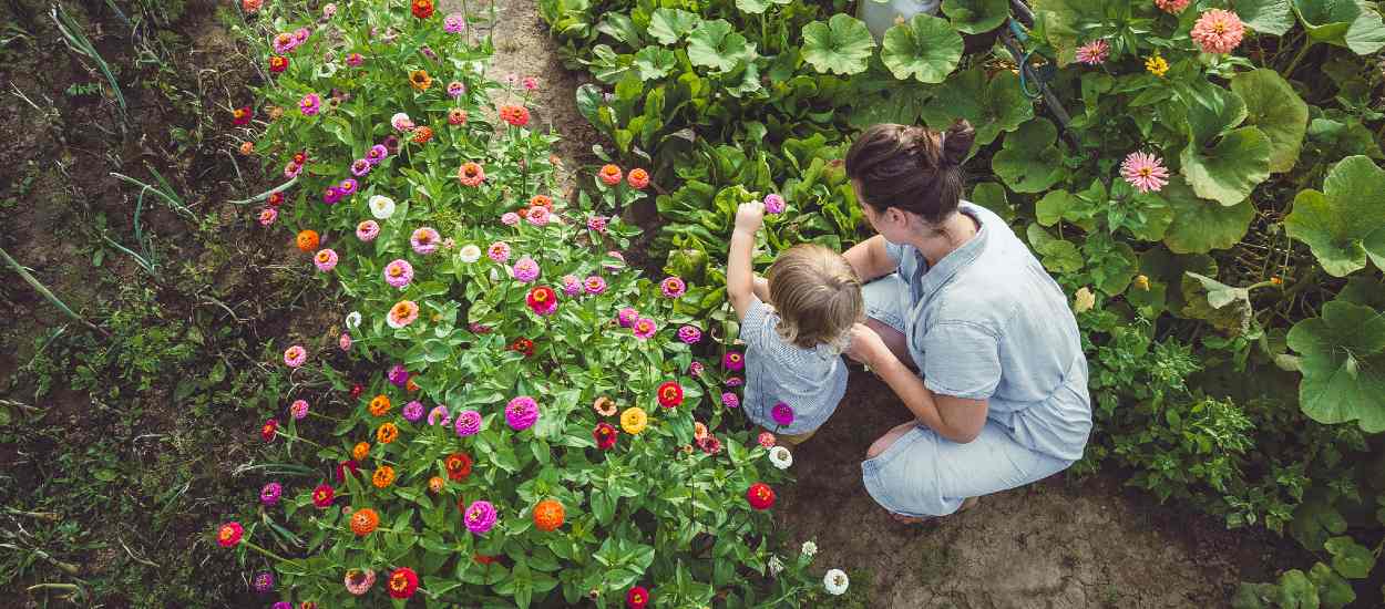 Envie de partir vivre à la campagne, mais la réalité est-elle à la hauteur du rêve ?