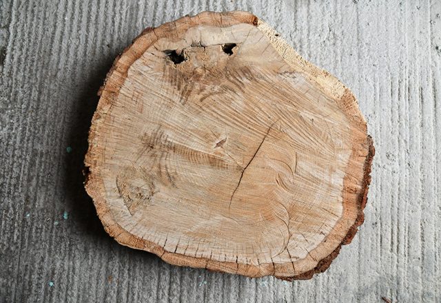 DIY : comment transformer en déco un rondin de bois