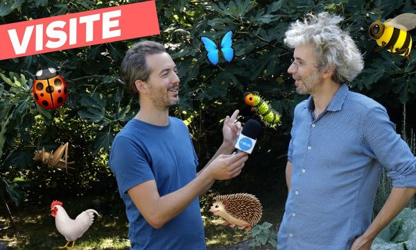 Avant / Après : il transforme un jardin super moche en oasis de biodiversité