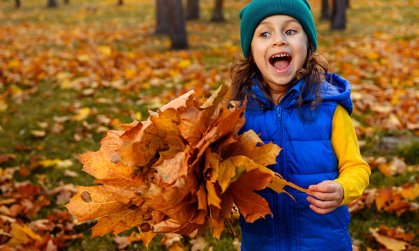 9 décorations d'automne à faire soi-même au retour d'une promenade dans la nature