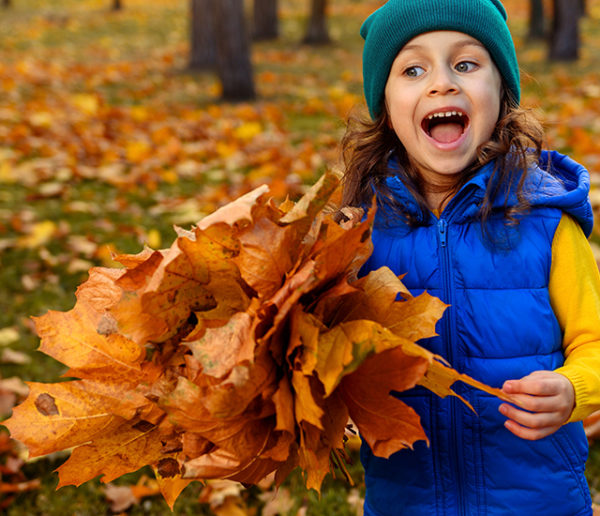 9 décorations d'automne à faire soi-même au retour d'une promenade dans la nature